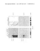 Modified ES cells and ES cell-specific genes diagram and image