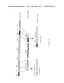 Modified ES cells and ES cell-specific genes diagram and image