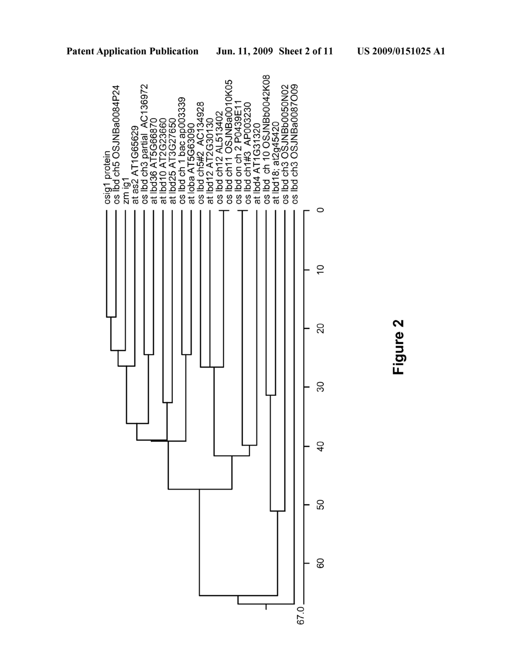 Indeterminate Gametophyte 1 (ig1), Mutations of ig1, Orthologs of ig1, and Uses Thereof - diagram, schematic, and image 03