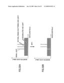 RAMAN AMPLIFIER AND RAMAN AMPLIFIER ADJUSTMENT METHOD diagram and image