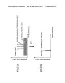 RAMAN AMPLIFIER AND RAMAN AMPLIFIER ADJUSTMENT METHOD diagram and image