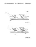 Integrally Formed Single Piece Light Emitting Diode Light Wire and Uses Thereof diagram and image