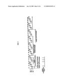 METHOD AND APPARATUS FOR ACQUIRING OFDM SYNCHRONIZATION diagram and image