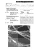 Transition Metal-Carbon Nanotube Hybrid Catalyst Containing Nitrogen, Method for Preparation Thereof, and Method for Generation of Hydrogen Using the Same diagram and image