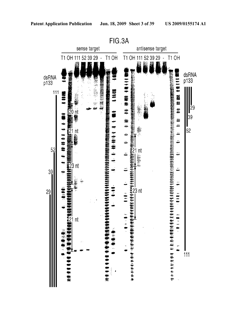 RNA Interference Mediating Small RNA Molecules - diagram, schematic, and image 04