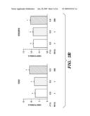 COMPOSITIONS AND METHODS FOR BONE STRENGTHENING diagram and image