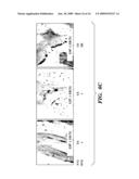 COMPOSITIONS AND METHODS FOR BONE STRENGTHENING diagram and image