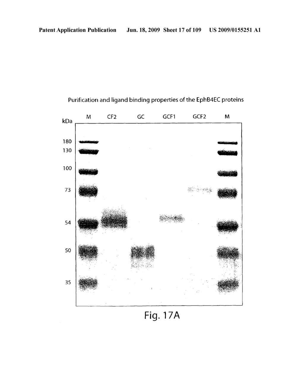 Polypeptide compounds for inhibiting angiogenesis and tumor growth - diagram, schematic, and image 18