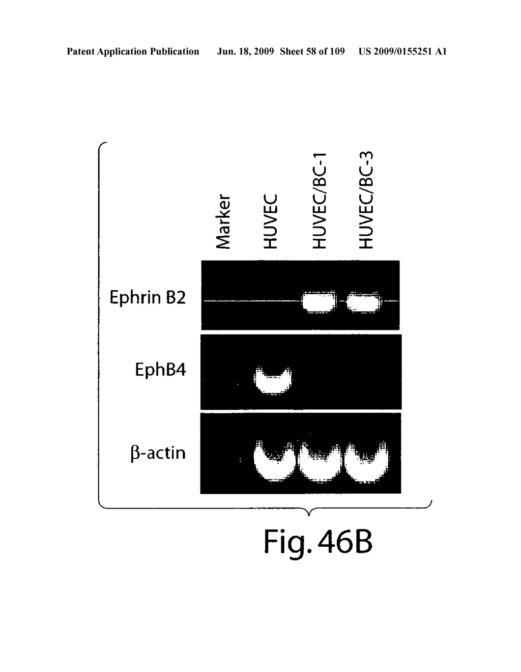 Polypeptide compounds for inhibiting angiogenesis and tumor growth - diagram, schematic, and image 59