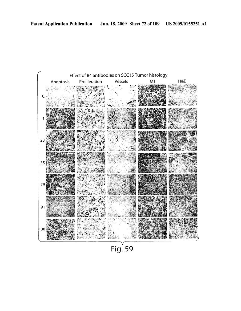 Polypeptide compounds for inhibiting angiogenesis and tumor growth - diagram, schematic, and image 73