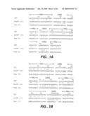 IMMUNOGLOBULIN VARIANTS AND USES THEREOF diagram and image