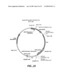 IMMUNOGLOBULIN VARIANTS AND USES THEREOF diagram and image