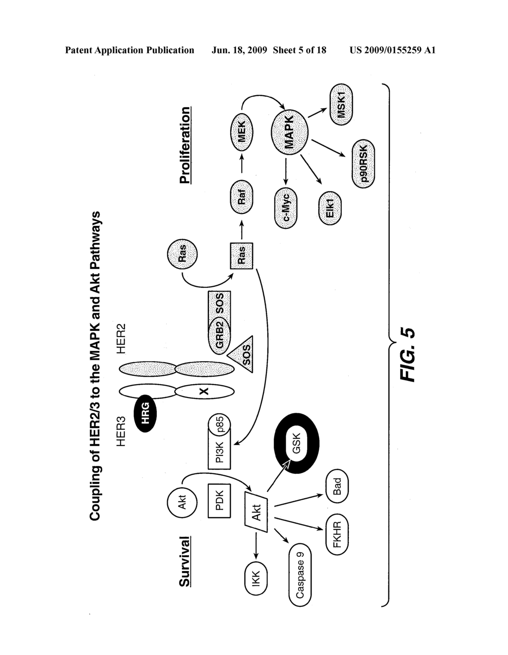 EXTENDING TIME TO DISEASE PROGRESSION OR SURVIVAL IN CANCER PATIENTS - diagram, schematic, and image 06