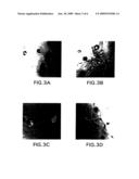 HGF-SF MONOCLONAL ANTIBODY COMBINATIONS diagram and image