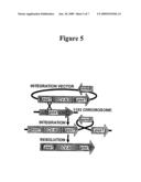 Modified Cyanovirin-N Polypeptide diagram and image