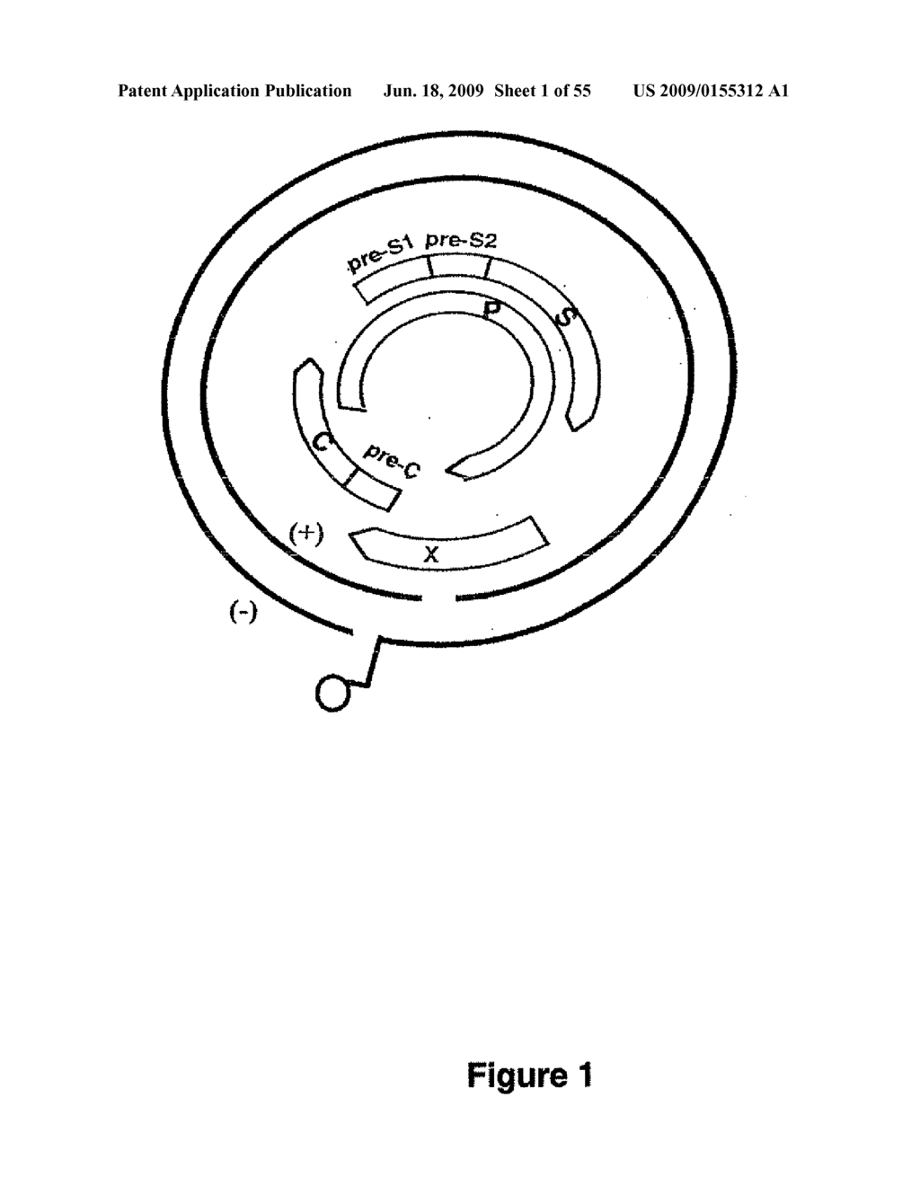 VIRAL VARIANTS DETECTION AND APPLICATION - diagram, schematic, and image 02