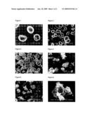 PREPARATION OF POWDERS CONTAINING COLLOIDAL PARTICLES diagram and image