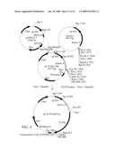 CHLAMYDIA ANTIGENS AND PROTEIN VACCINE diagram and image