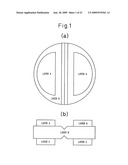 TABLET WITH MULTIPLE DRUG-CONTAINING SECTIONS diagram and image