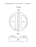 TABLET WITH MULTIPLE DRUG-CONTAINING SECTIONS diagram and image