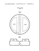 TABLET WITH MULTIPLE DRUG-CONTAINING SECTIONS diagram and image