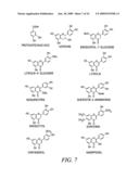 JUCARA AND ACAI FRUIT-BASED DIETARY SUPPLEMENTS diagram and image