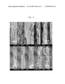 IMPLANT HAVING MICROGROOVES AND A METHOD FOR PREPARING THE SAME diagram and image