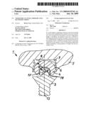 Tooth implant with a primary and a secondary crown diagram and image