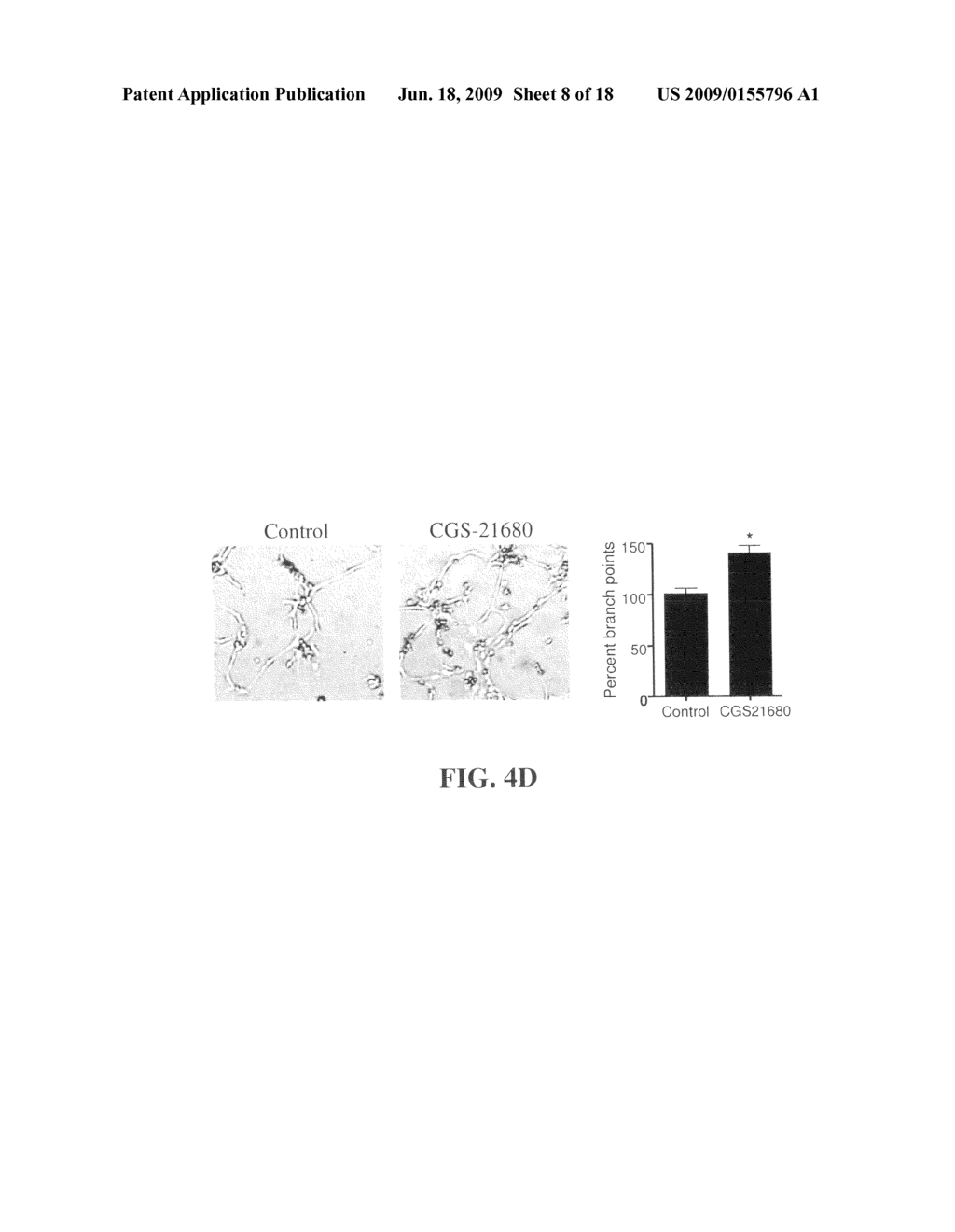 MARKER FOR CANCER PROGNOSIS AND METHODS RELATED THERETO - diagram, schematic, and image 09