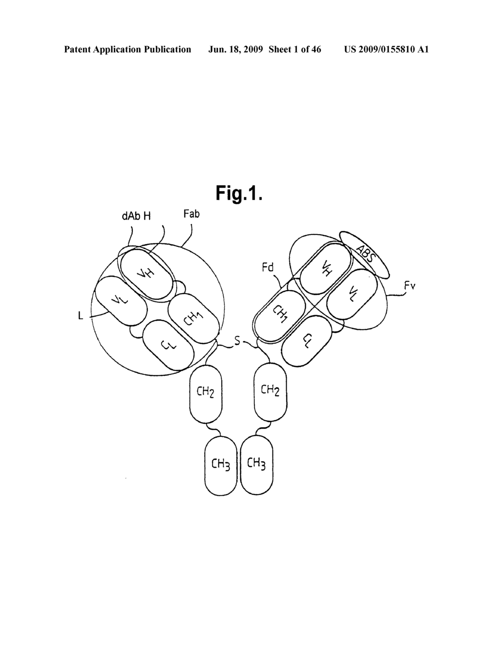 METHODS FOR PRODUCING MEMBERS OF SPECIFIC BINDING PAIRS - diagram, schematic, and image 02