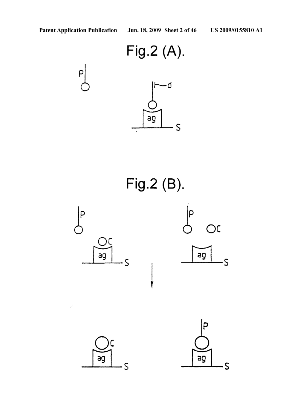 METHODS FOR PRODUCING MEMBERS OF SPECIFIC BINDING PAIRS - diagram, schematic, and image 03