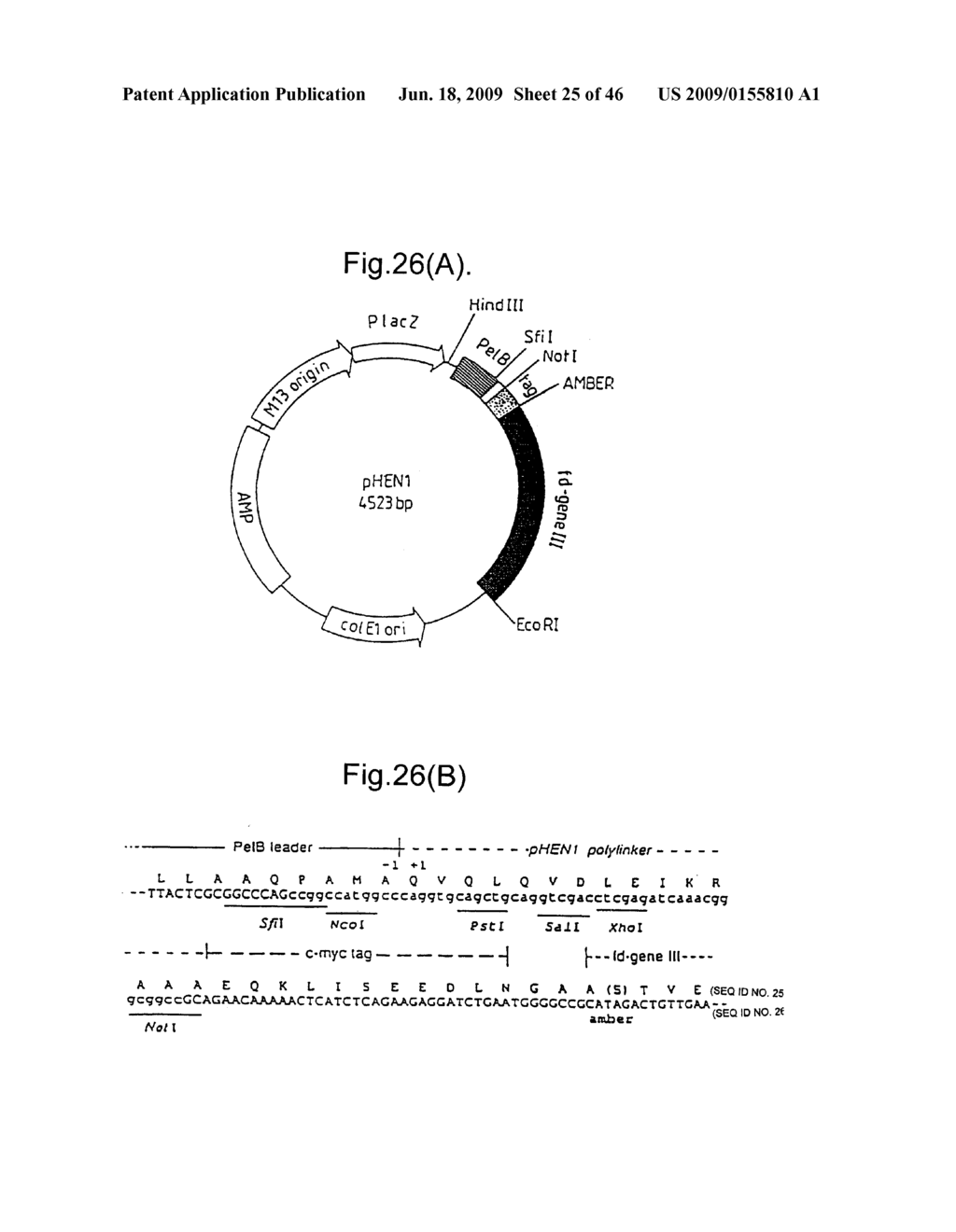 METHODS FOR PRODUCING MEMBERS OF SPECIFIC BINDING PAIRS - diagram, schematic, and image 26