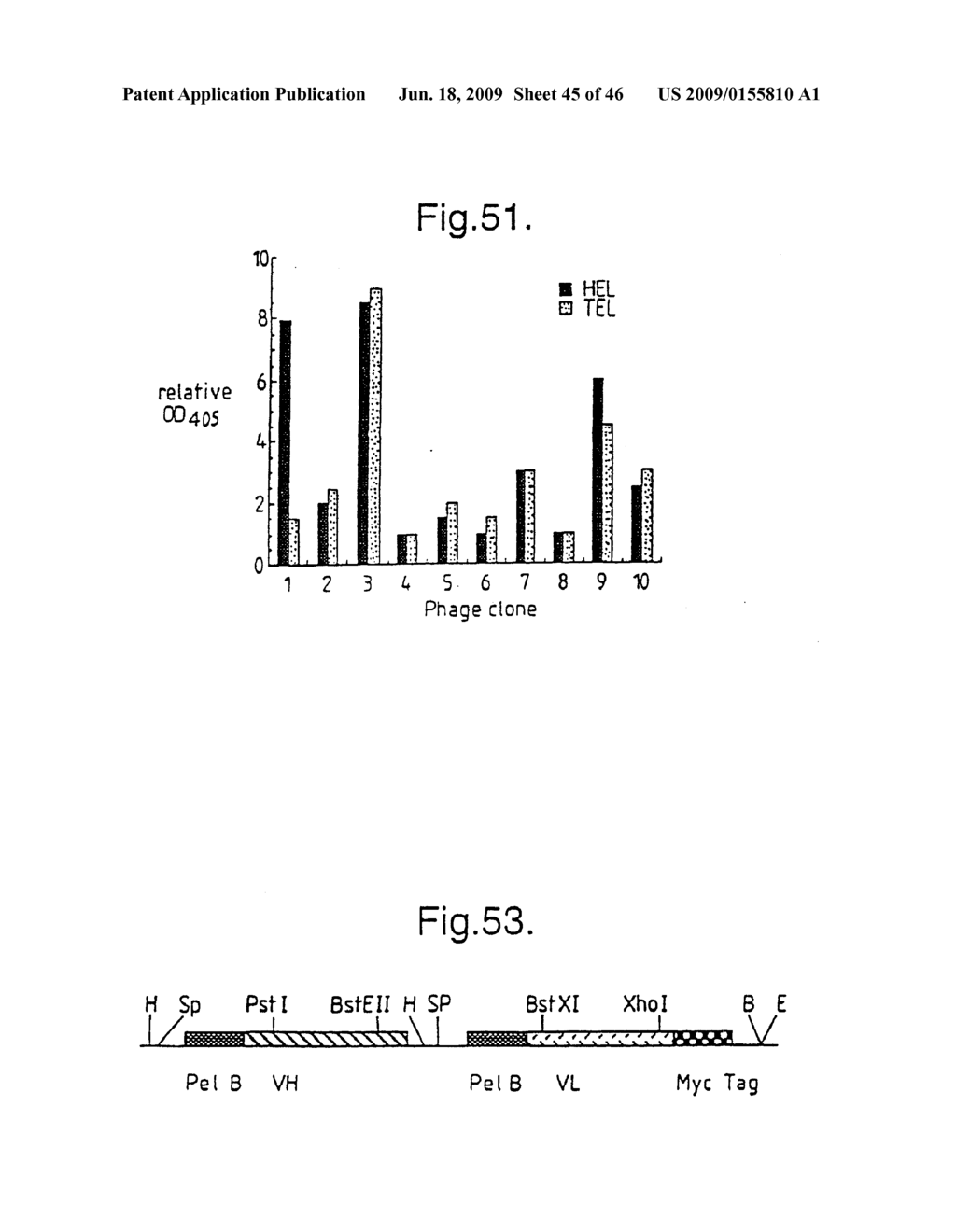 METHODS FOR PRODUCING MEMBERS OF SPECIFIC BINDING PAIRS - diagram, schematic, and image 46