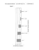 Process for diagnosing rheumatic diseases diagram and image