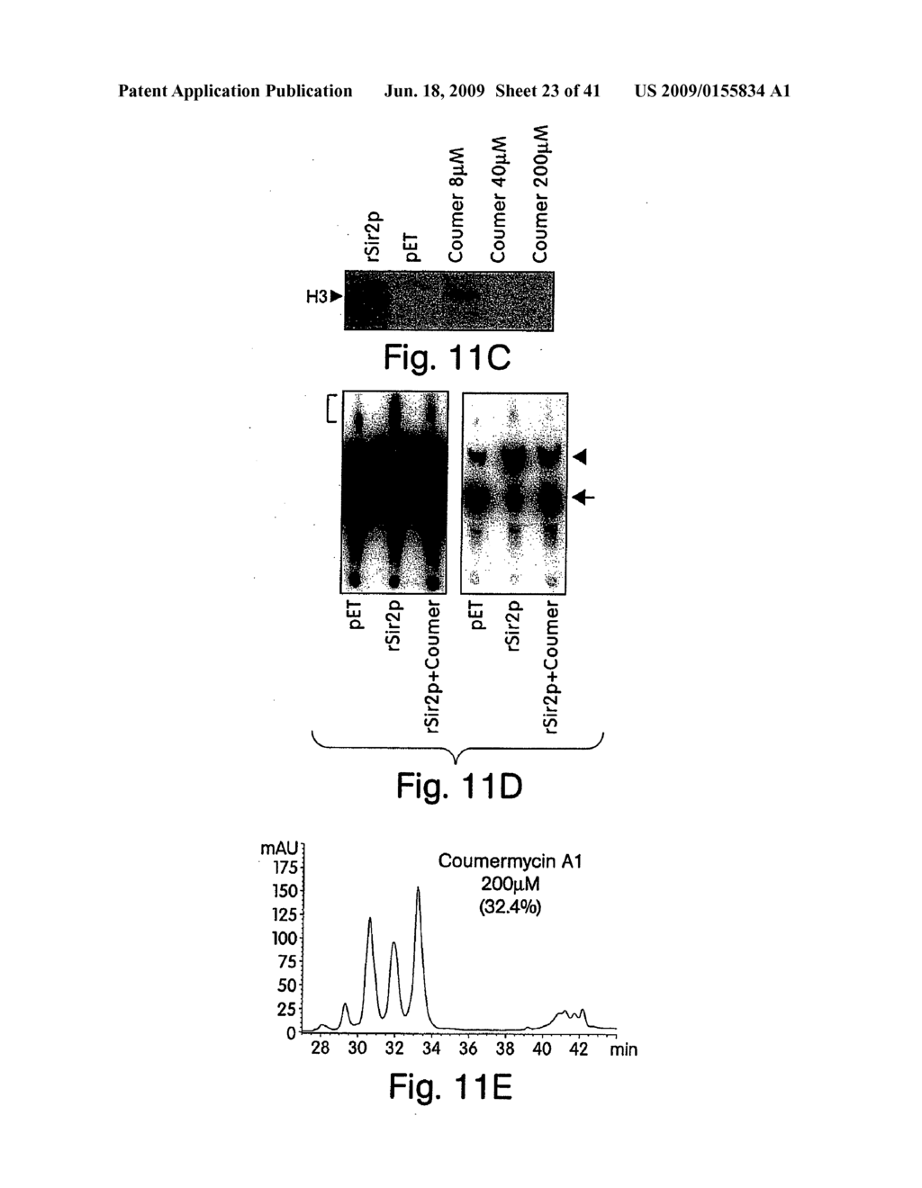 METHODS FOR IDENTIFYING AGENTS WHICH ALTER HISTONE PROTEIN ACETYLATION, DECREASE AGING OR INCREASE LIFESPAN - diagram, schematic, and image 24