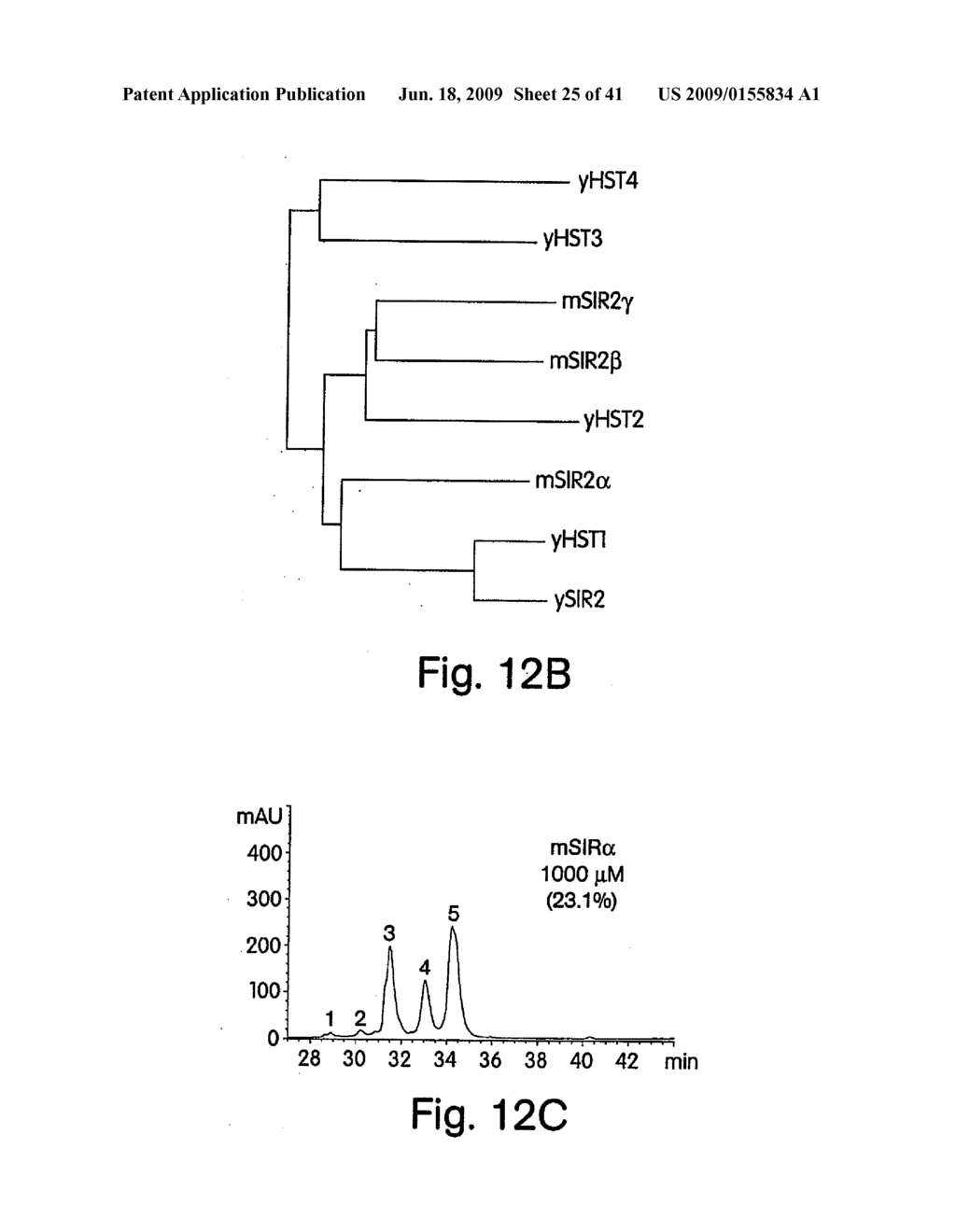 METHODS FOR IDENTIFYING AGENTS WHICH ALTER HISTONE PROTEIN ACETYLATION, DECREASE AGING OR INCREASE LIFESPAN - diagram, schematic, and image 26