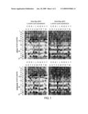 KINASE ANCHOR PROTEIN MUTEINS, PEPTIDES THEREOF AND RELATED METHODS diagram and image