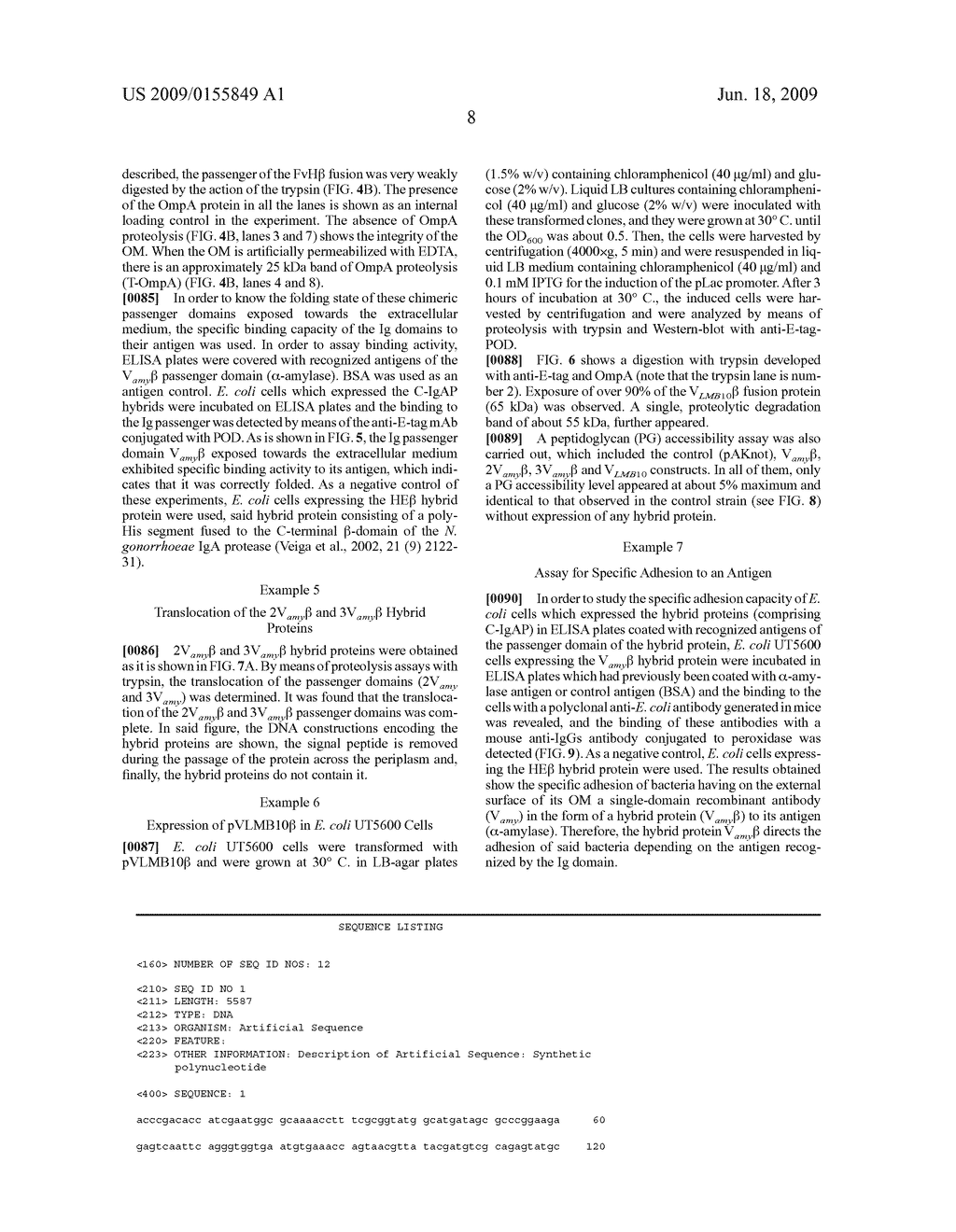 GENERATION OF SPECIFIC ADHESION IN GRAM-NEGATIVE BACTERIA BY MEANS OF ANCHORING IMMUNOGLOBULIN SINGLE DOMAINS ON THEIR SURFACE WITH AUTOTRANSPORTERS - diagram, schematic, and image 18