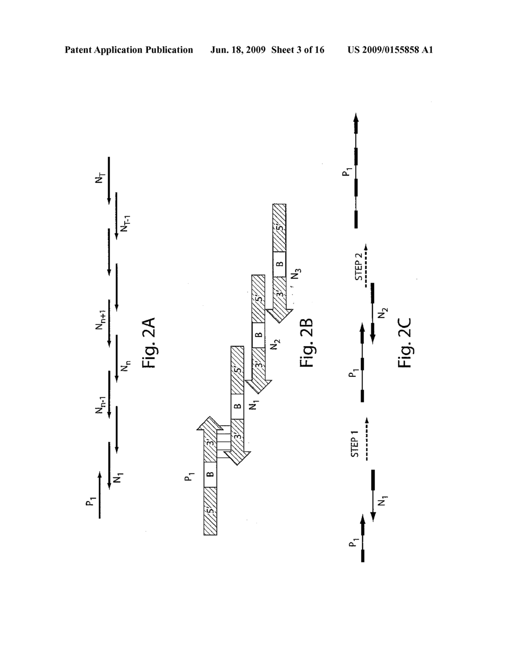 Iterative nucleic acid assembly using activation of vector-encoded traits - diagram, schematic, and image 04