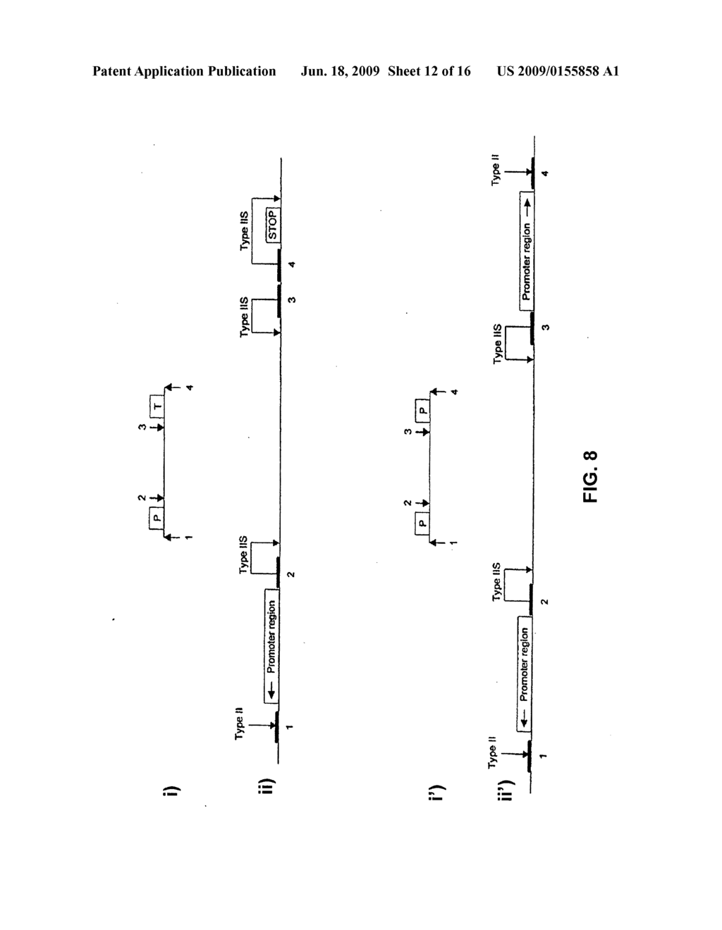 Iterative nucleic acid assembly using activation of vector-encoded traits - diagram, schematic, and image 13