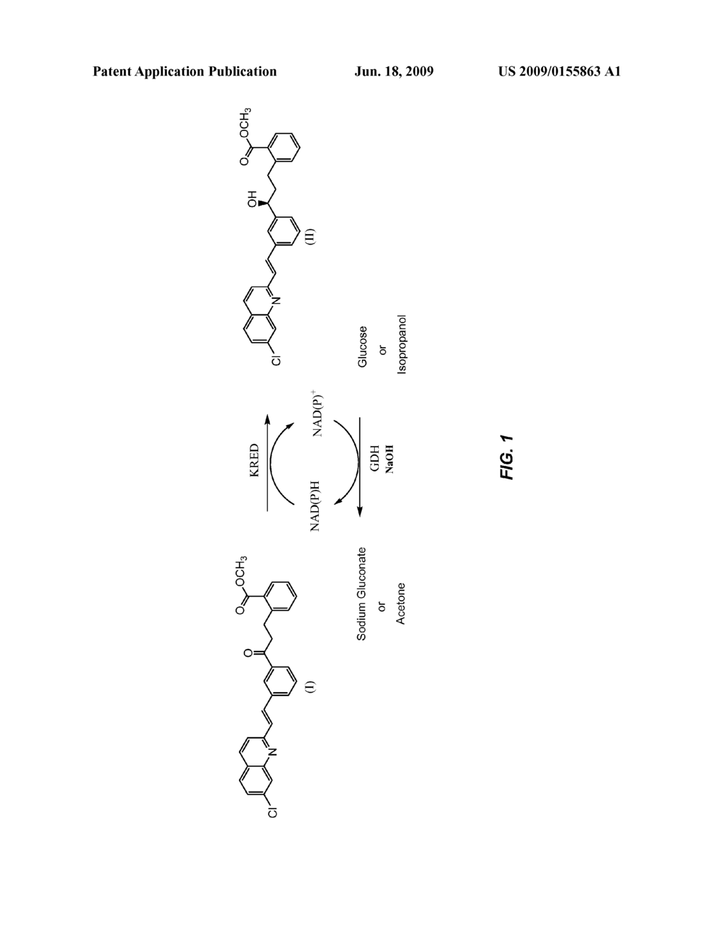 KETOREDUCTASE POLYPEPTIDES AND USES THEREOF - diagram, schematic, and image 02