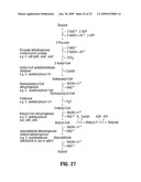 ENGINEERED MICROORGANISMS FOR PRODUCING N-BUTANOL AND RELATED METHODS diagram and image