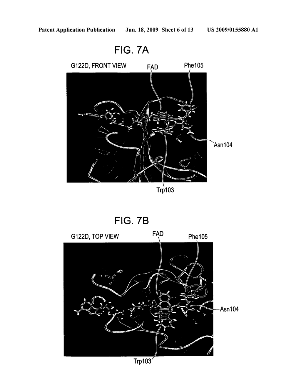 MUTANT PROTEIN HAVING DIAPHORASE ACTIVITY - diagram, schematic, and image 07