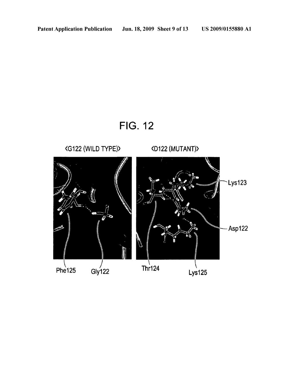 MUTANT PROTEIN HAVING DIAPHORASE ACTIVITY - diagram, schematic, and image 10