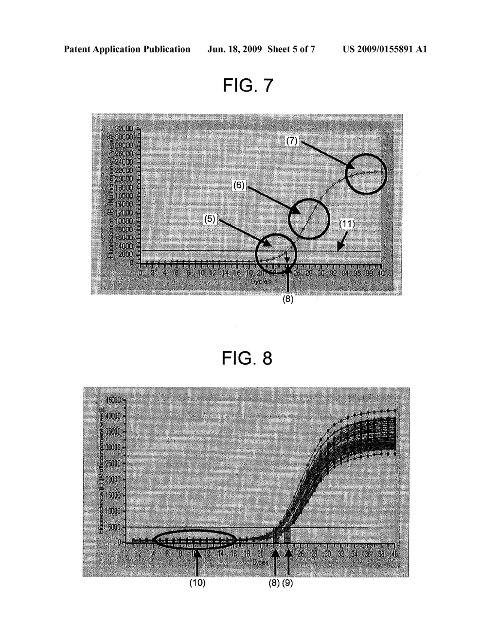 APPARATUS FOR DETECTING NUCLEIC ACID AMPLIFICATION PRODUCT IN REAL TIME - diagram, schematic, and image 06