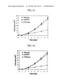 Human Cancer Suppressor Gene, Protein Encoded Therein, Expression Vector Containing The Same, And Cell Transformed By The Vector diagram and image