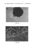 METHOD FOR PRODUCING DENDRITIC CELLS diagram and image