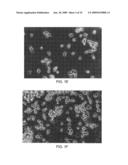 METHOD FOR PRODUCING DENDRITIC CELLS diagram and image