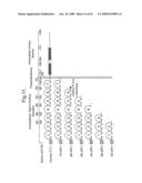 Modified Chimeric Polypeptides with Improved Pharmacokinetic Properties diagram and image