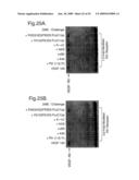 Modified Chimeric Polypeptides with Improved Pharmacokinetic Properties diagram and image